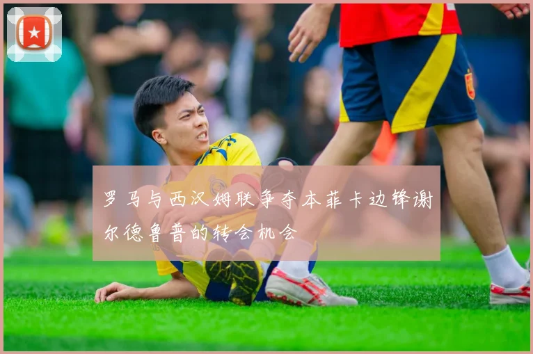 罗马与西汉姆联争夺本菲卡边锋谢尔德鲁普的转会机会