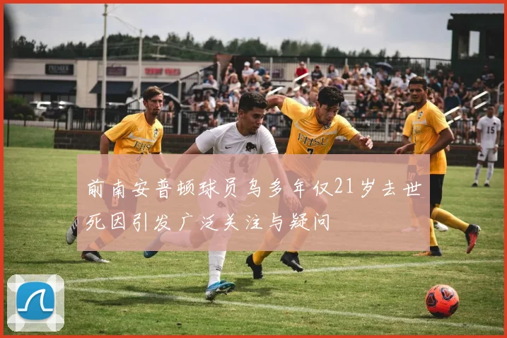 前南安普顿球员乌多年仅21岁去世死因引发广泛关注与疑问