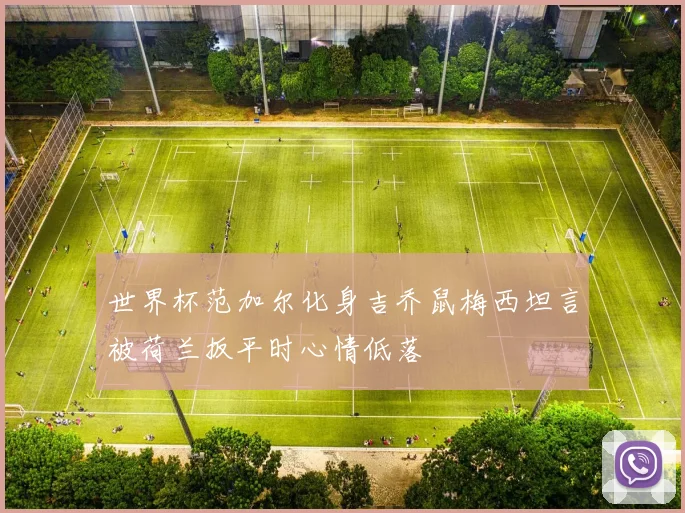 世界杯范加尔化身吉乔鼠梅西坦言被荷兰扳平时心情低落